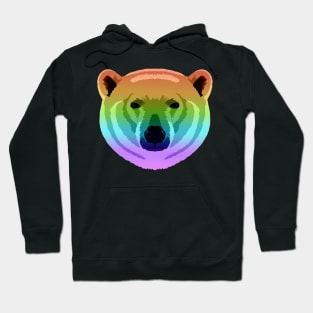 Rainbow Polar Bear Hoodie